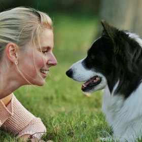 hydrotherapie hond revalidatie dysplasie heup elleboog patella artrose